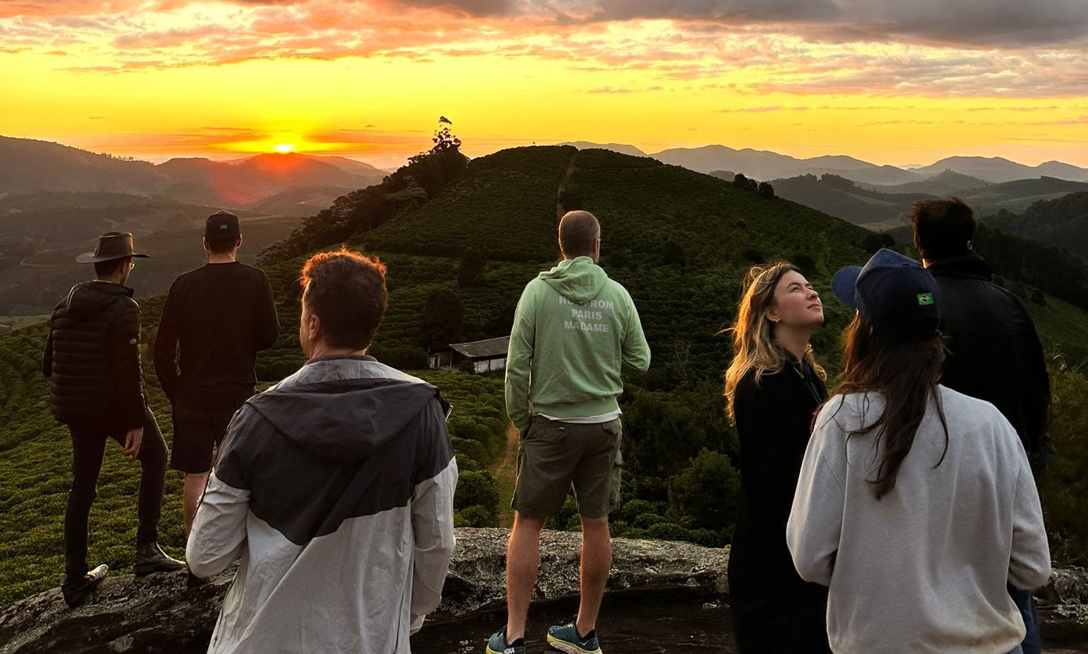 Retour à l’origine : notre café durablement sourcé au Brésil