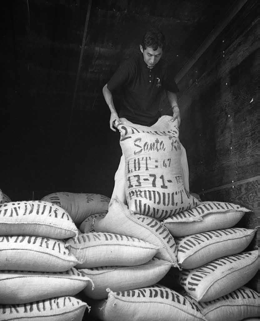 Comment conserver le café : astuces & conseils