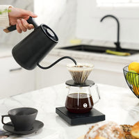 Bouilloire électrique Timemore Fish Smart 600 ml, noir