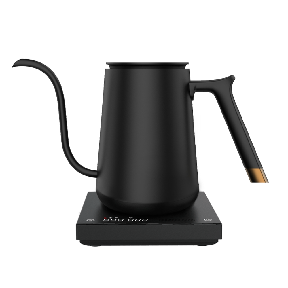 Bouilloire électrique Timemore Fish Smart 600 ml, noir