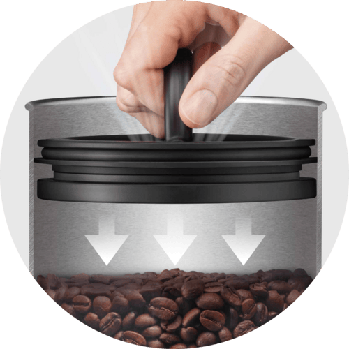 Sage the Bean Keeper – Airscape inner lid