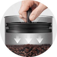 Sage the Bean Keeper – Airscape inner lid