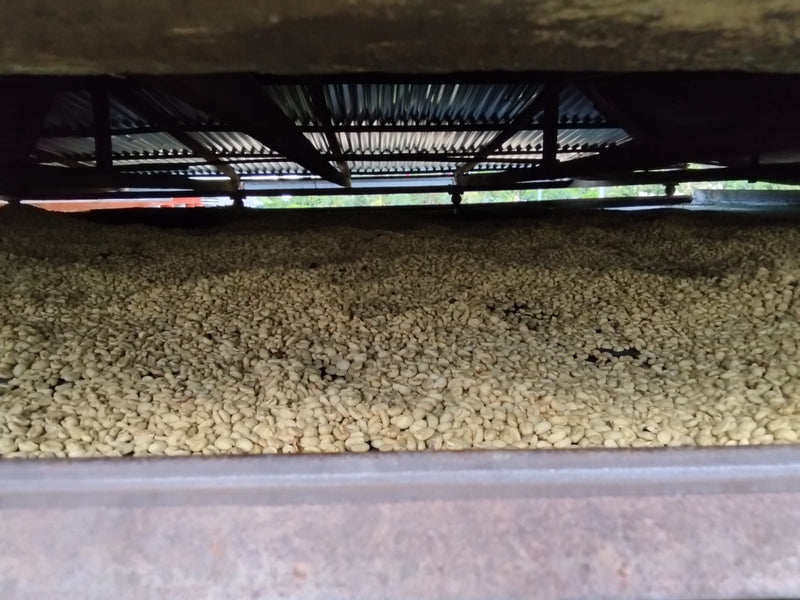 4. Comment apprécier ce café