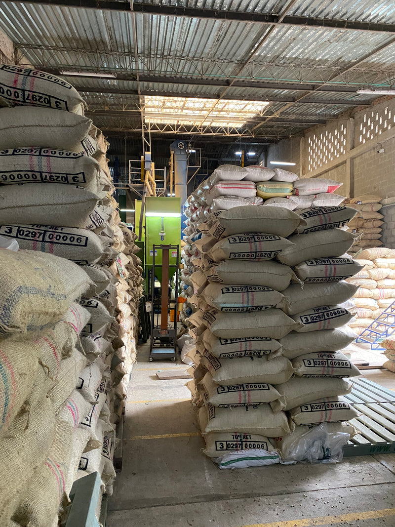 3. Processus de décaféination de la canne à sucre