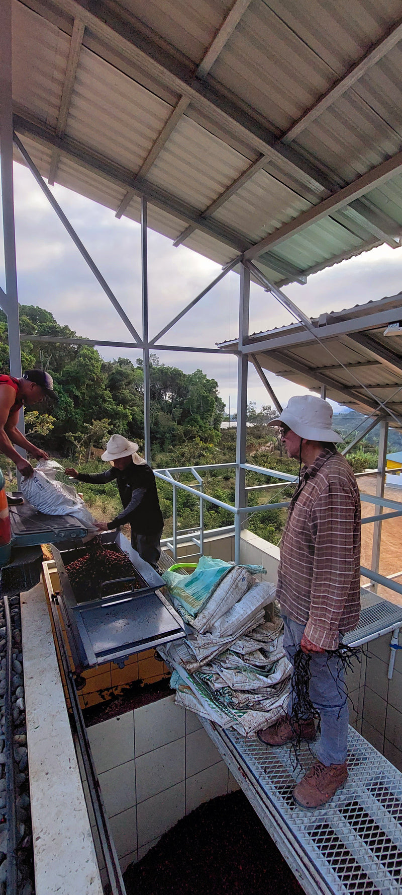1. Découvrez l’origine de votre café