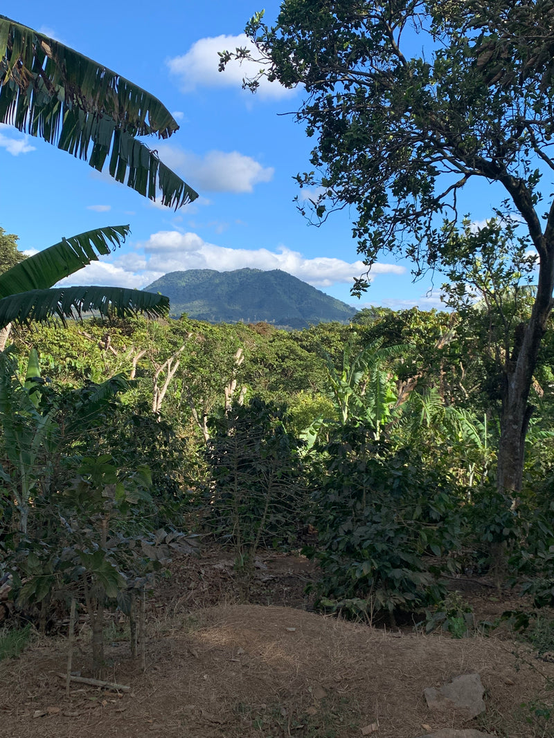 2. La région d'Ahuachapán