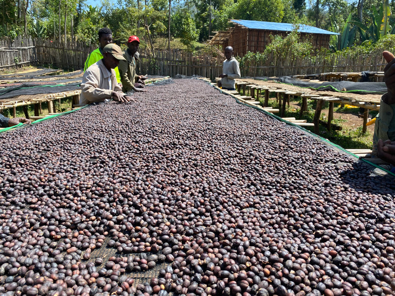 4. How to enjoy this coffee