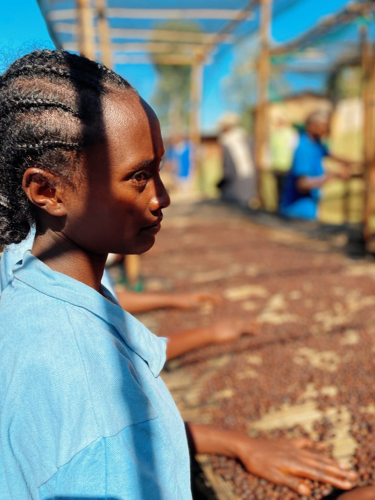 Comment il est torréfié