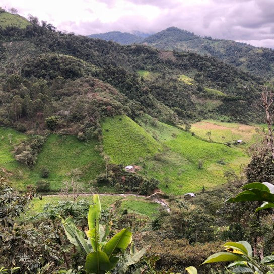 2. The San Ignacio Region