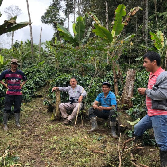 ALL ABOUT PERU – Neira for filter