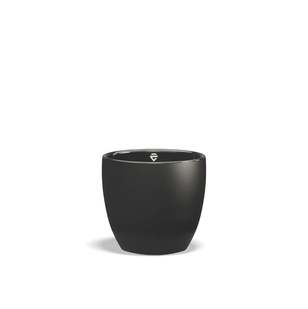 Black / Coffee