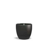 Black / Coffee