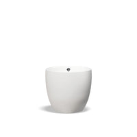 White / Coffee
