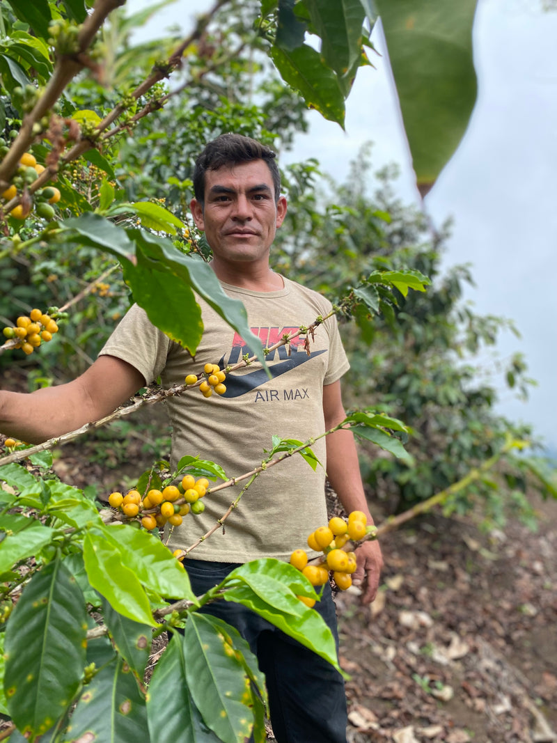 1. Découvrez l’origine de votre café