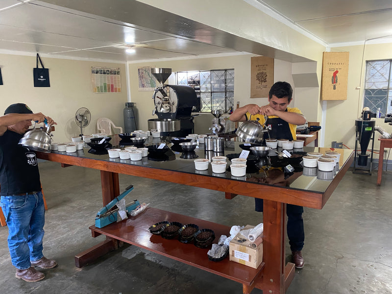 4. Comment apprécier ce café