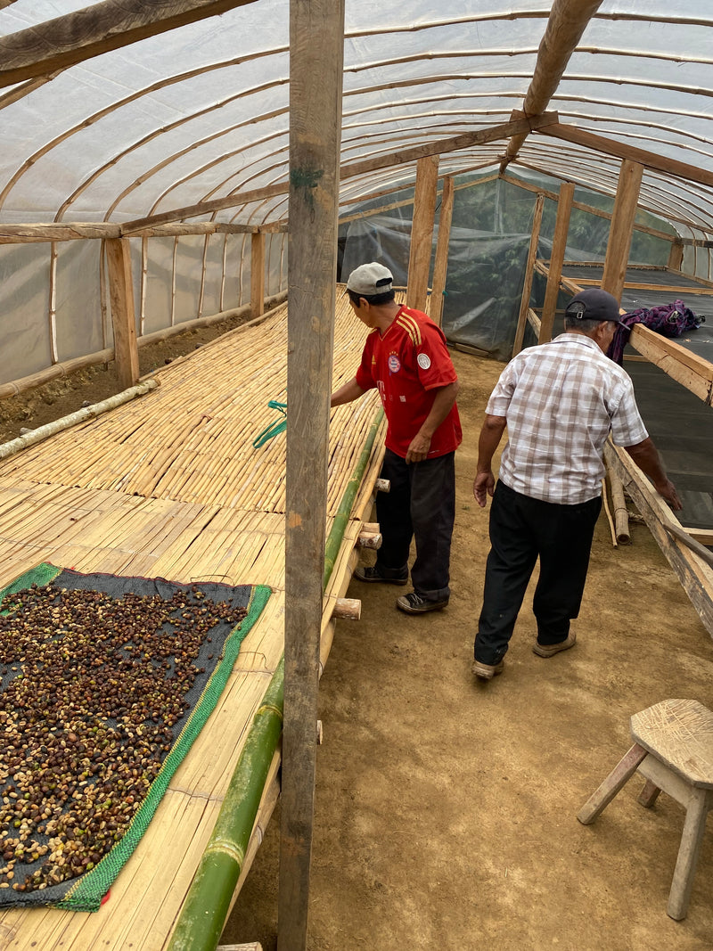 3. Café certifié biologique