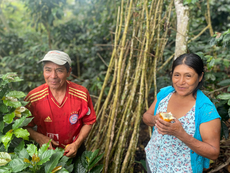 2. La région de San Ignacio