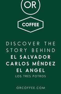 El Salvador El Angel info cards 50pcs