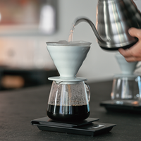 Carafe Hario V60 Barista
