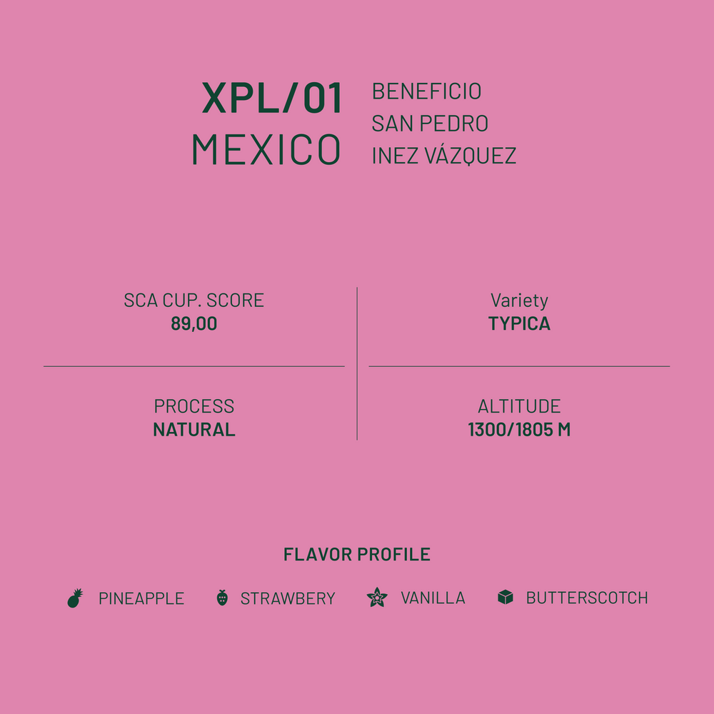 XPL/01 Mexique San Pedro Nature