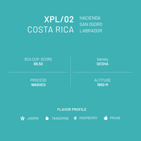 XPL/02 Costa Rica San Isidro Gesha