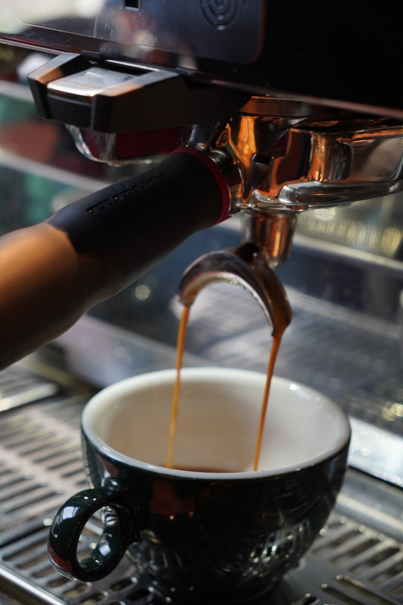 A hands-on training for professionals and coffee lovers