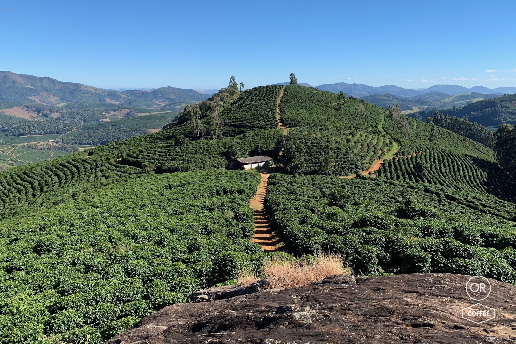 Discover the essence of Pedra Bonita: A Brazilian specialty espresso coffee