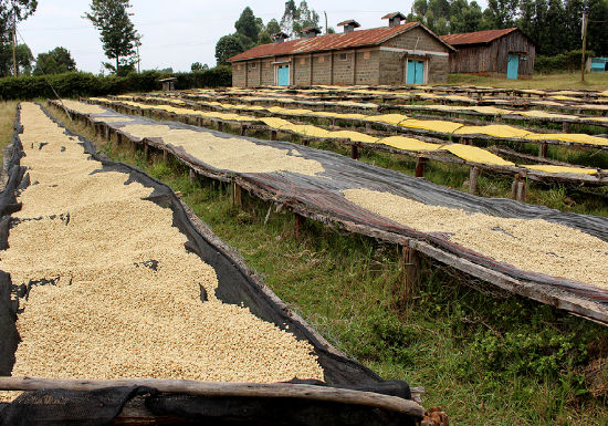 2. De Embu Regio